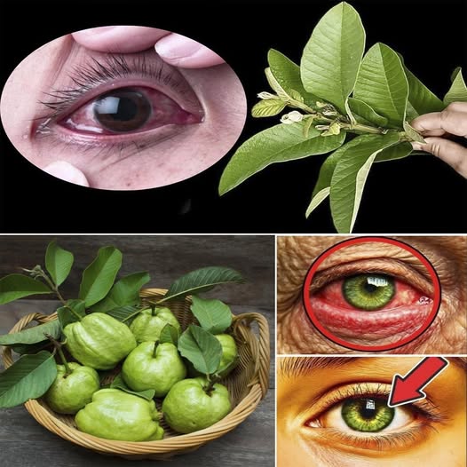 Cómo Usar la Guayaba para Tratar Problemas Oculares: Remedios Naturales para los Ojos