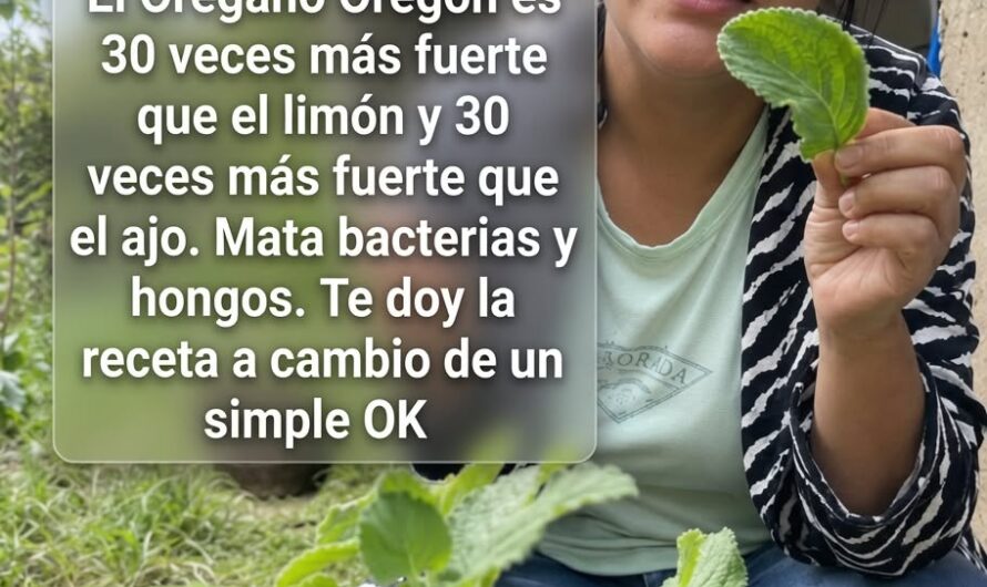 La Infusión de Ajo y Orégano un Remedio Natural que Fortalece tu Salud
