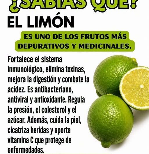 Milagroso Limón y Sus Beneficios para la Salud