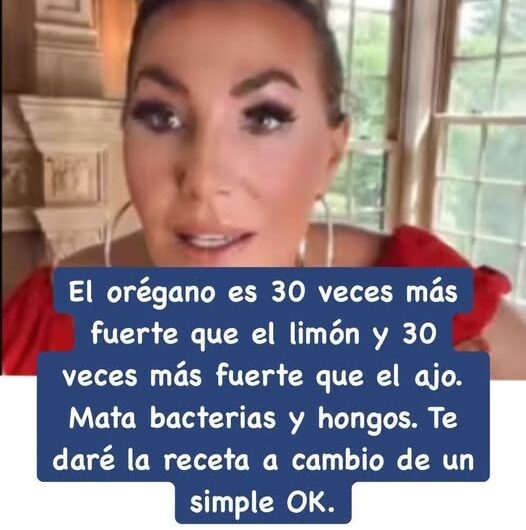 Orégano Un Tesoro Natural para tu Salud