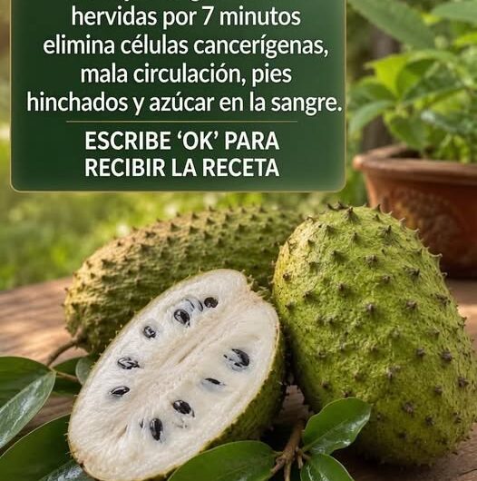 Beneficios del Té de Hueso de Aguacate y la Guanábana